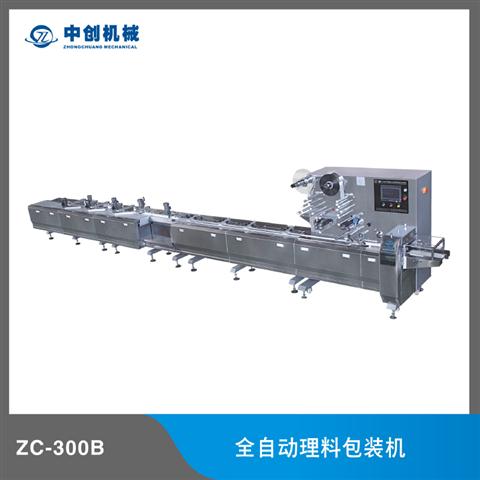 ZC-300B